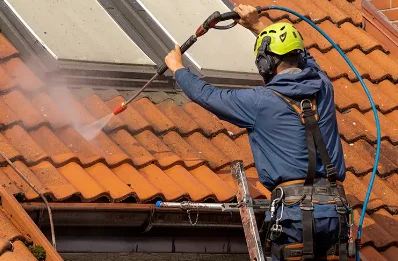 Démoussage et hydrofuge de toiture à Arçay